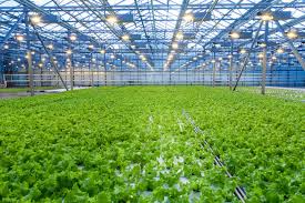 Green House Technology